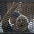 EGYPT-POLITICS-UNREST-TRIAL-ISLAMISTS