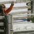 Domestic diva Martha Stewart throws hay
