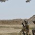 قوات المالكى